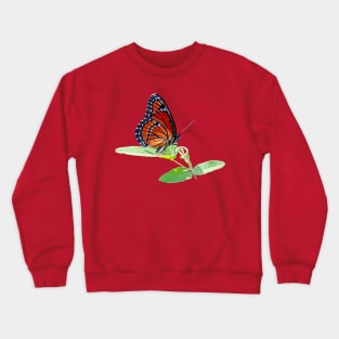 Viceroy Butterfly Crewneck Sweatshirt